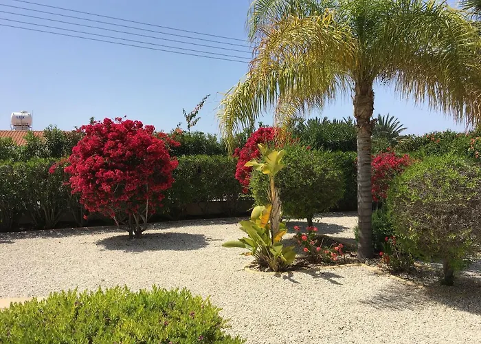 Anthiana * Coral Bay