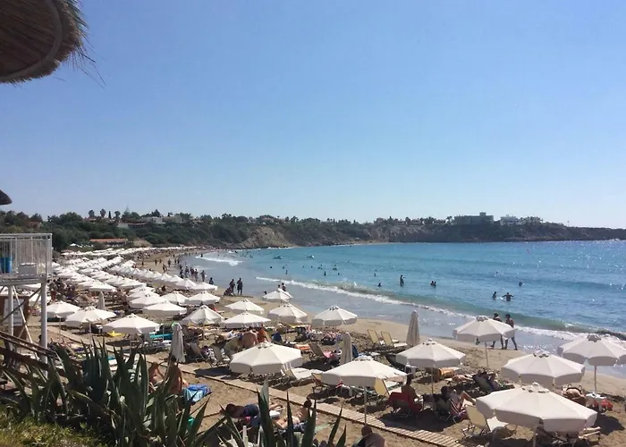 Anthiana * Coral Bay