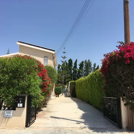 Anthiana * קורל ביי